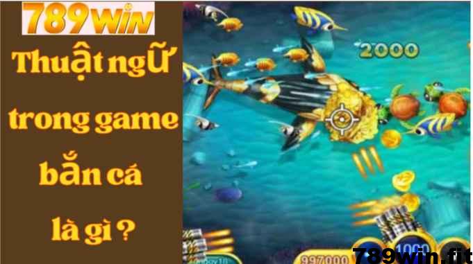 thuật ngữ trong game bắn cá là gì ?